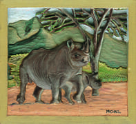 Save the Rhino / michaelswanepoel.com Fundraising Initiative